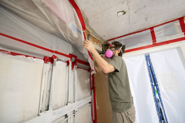 Trusted Town Creek, AL Mold Removal Experts